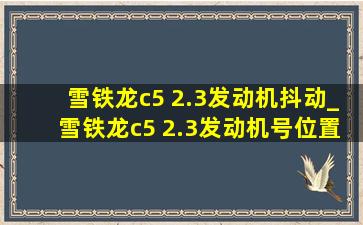 雪铁龙c5 2.3发动机抖动_雪铁龙c5 2.3发动机号位置